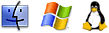 100% compatibility for business web hosting solution